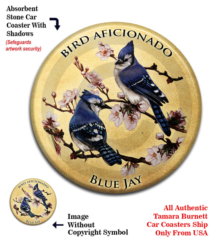 photo of Blue Jays