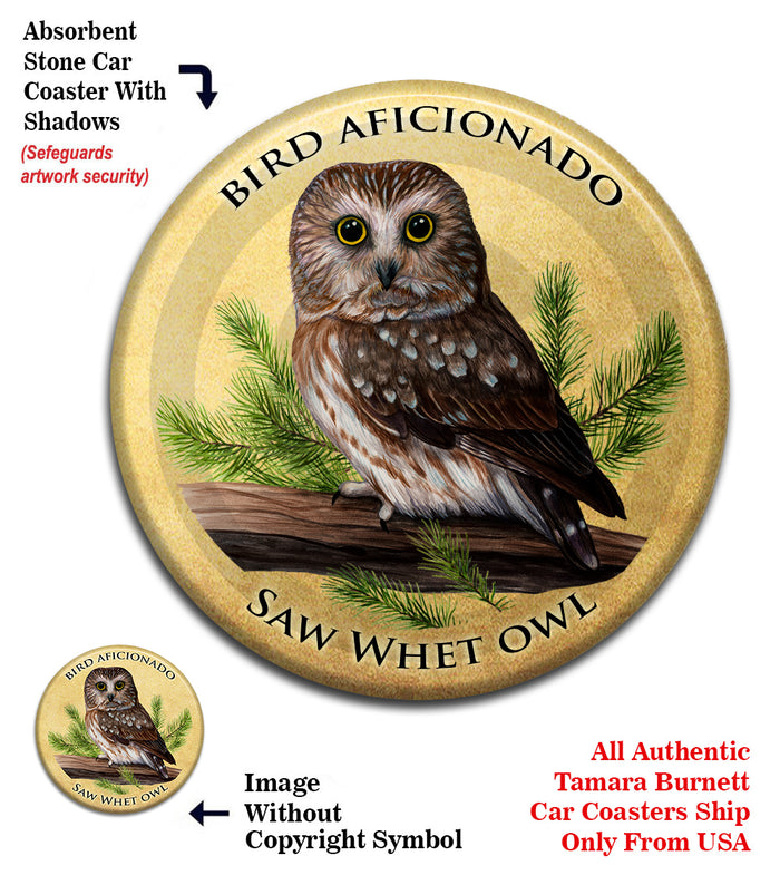 photo of Saw-whet Owl