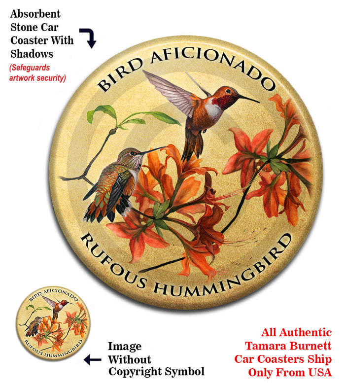 photo of Rufous Hummingbird