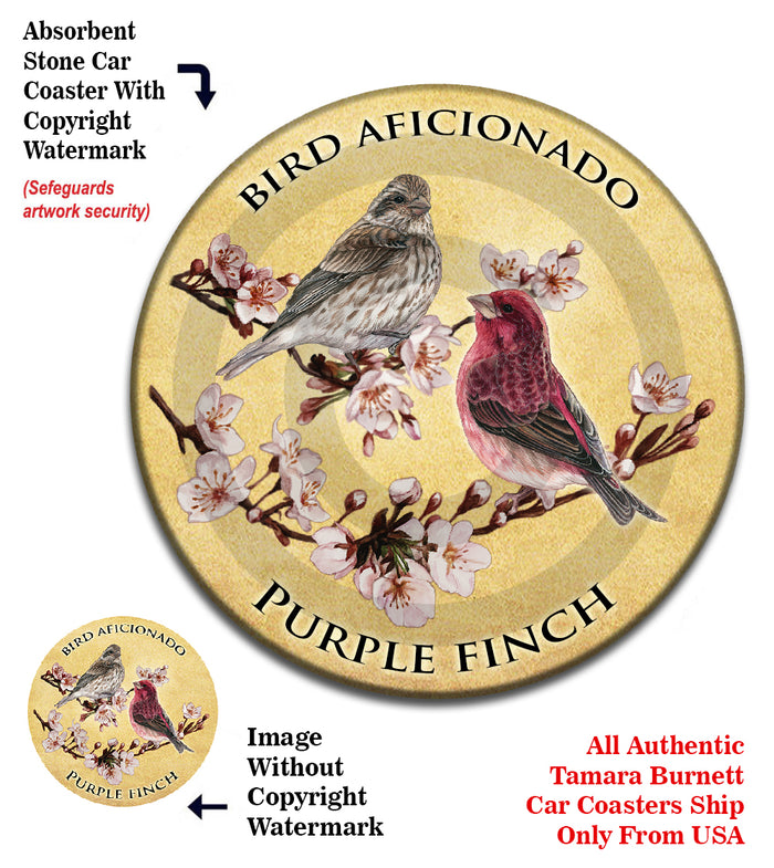 photo of Painted Bunting