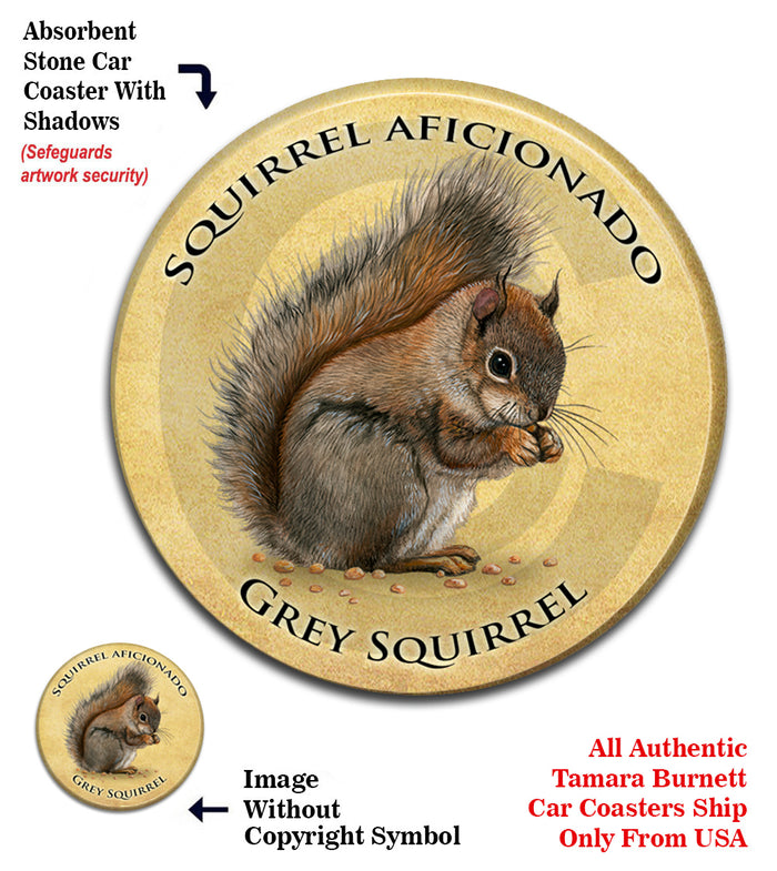 photo of Squirrel (Grey)