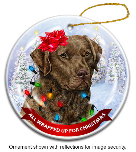 Chesapeake Bay Retriever All Wrapped Up Ornament