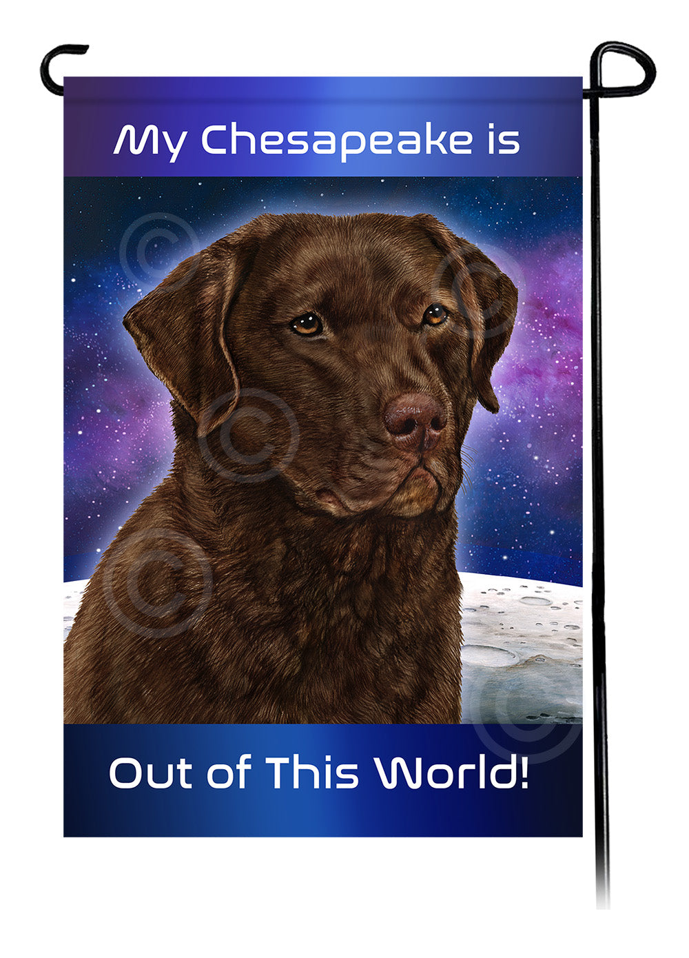 Chesapeake Bay Retriever Out Of This World - Garden Flag