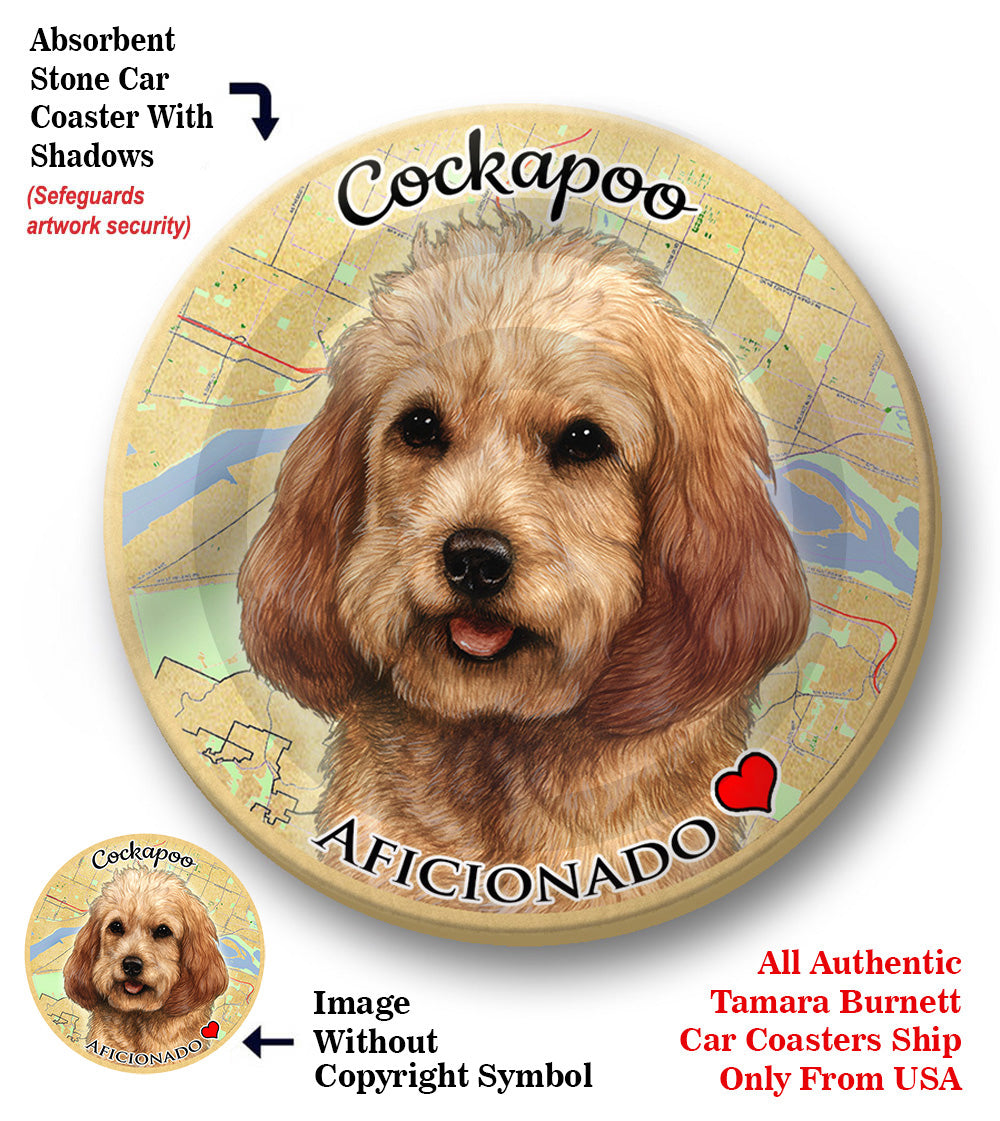 photo of Cockapoo
