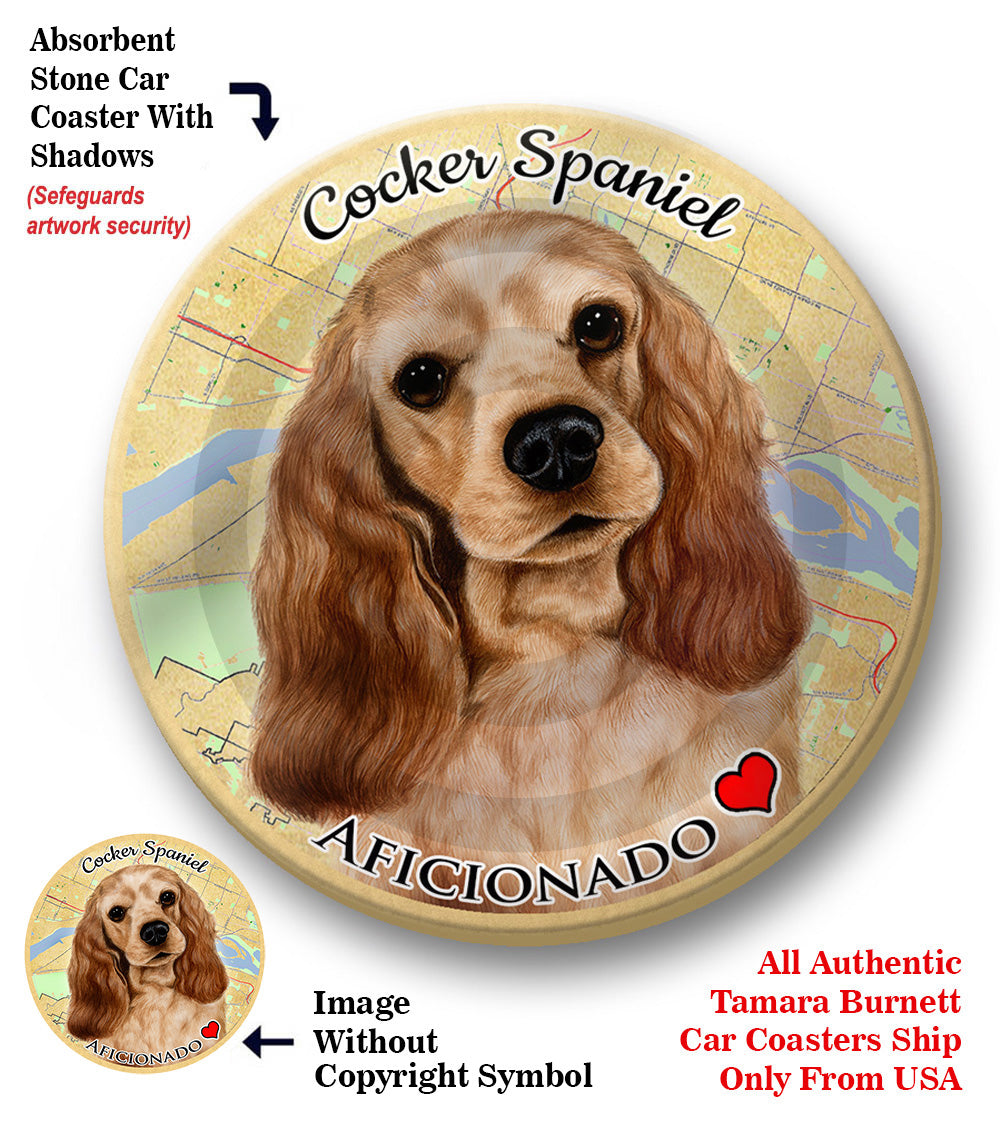 photo of Cocker Spaniel