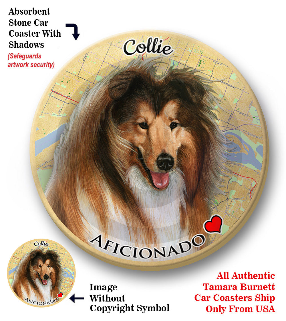 photo of Collie