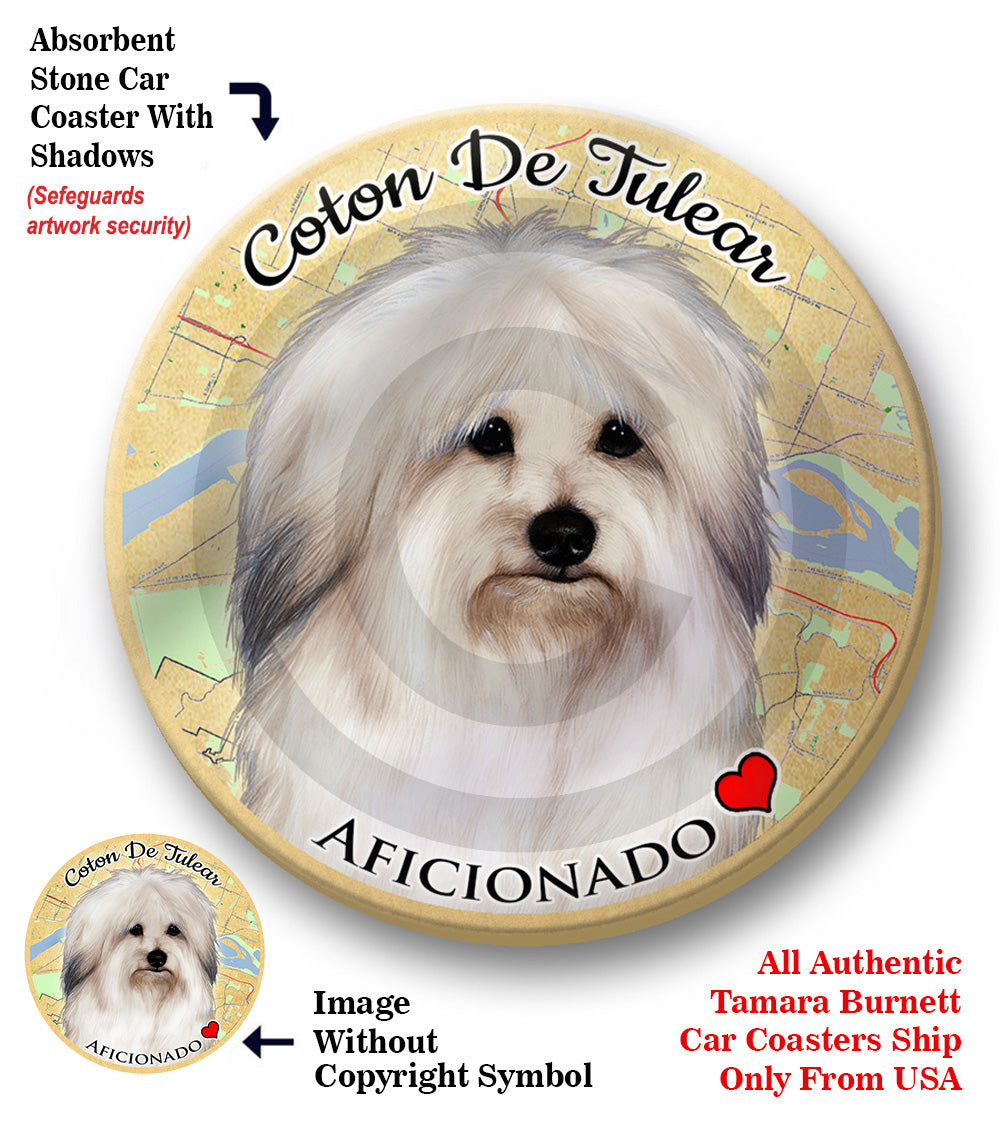 photo of Coton de Tulear