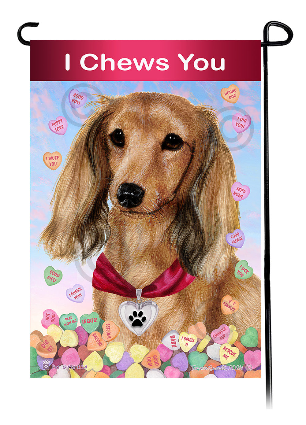 Dachshund Long Hair English Cream