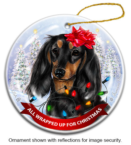 Dachshund Long Hair All Wrapped Up Ornament