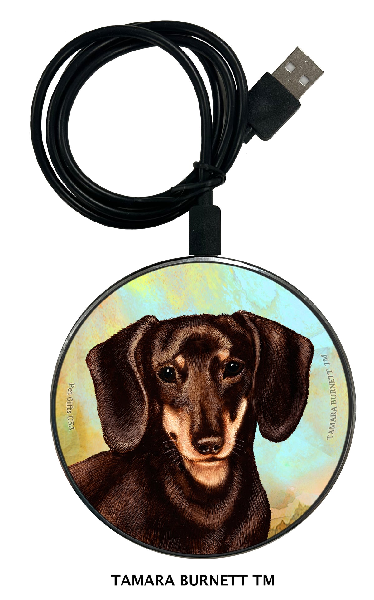 Dachshund Shorthair Chocolate and Cream Zoomies Wireless Charger