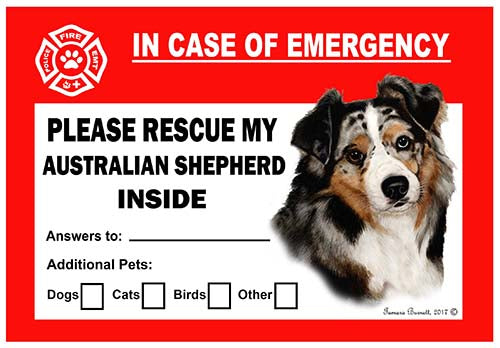 Australian Shepherd Emergency Cling