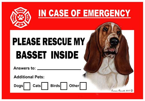 Basset Hound Emergency Cling