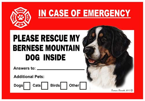 Bernese Mountain Dog Emergency Cling