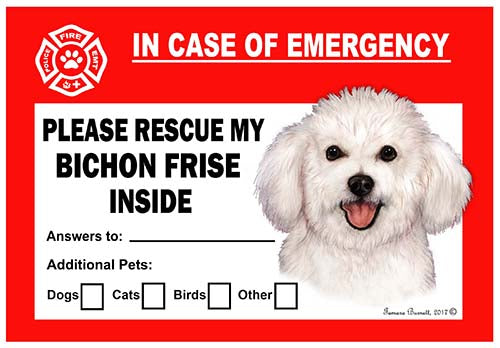 Bichon Frise Emergency Cling