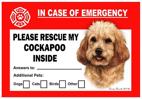 Cockapoo Emergency Cling