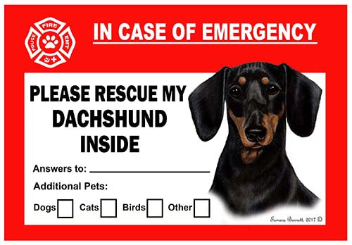 Dachshund Black and Tan Emergency Cling