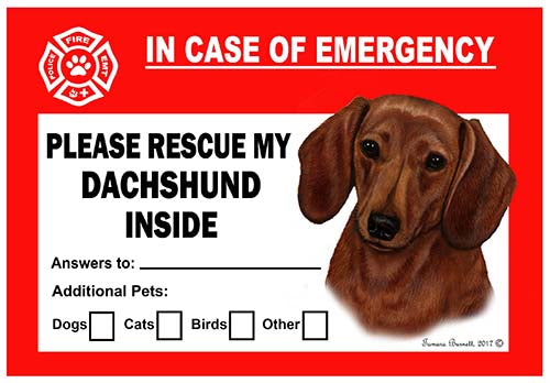 Dachshund Red Emergency Cling