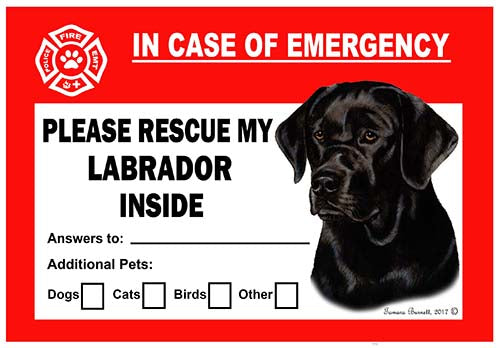 Labrador Retriever Black Emergency Cling