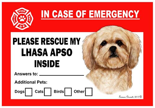 Lhasa Apso Emergency Cling