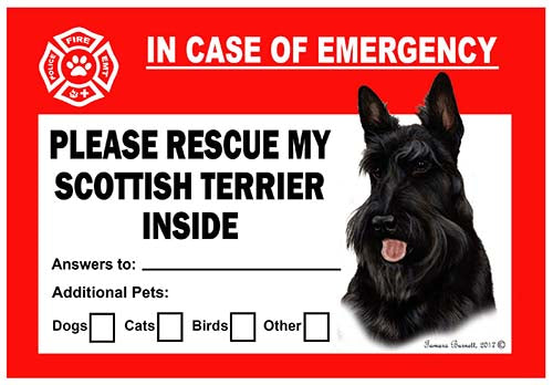 Scottish Terrier Emergency Cling