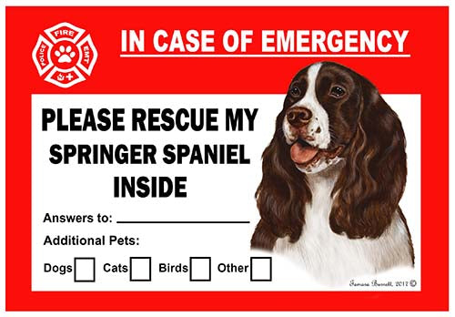 Springer Spaniel Liver Emergency Cling