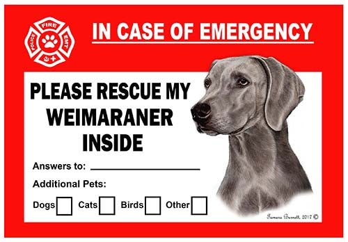 Weimaraner Emergency Cling
