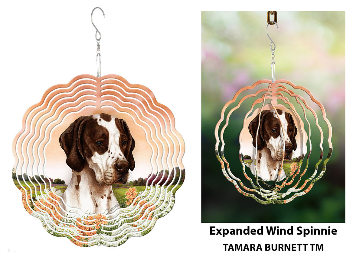 English Pointer Brown and White Wind Spinner