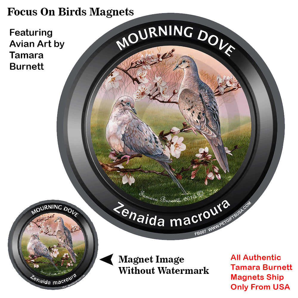 Mourning Doves Bird Watcher Magnets