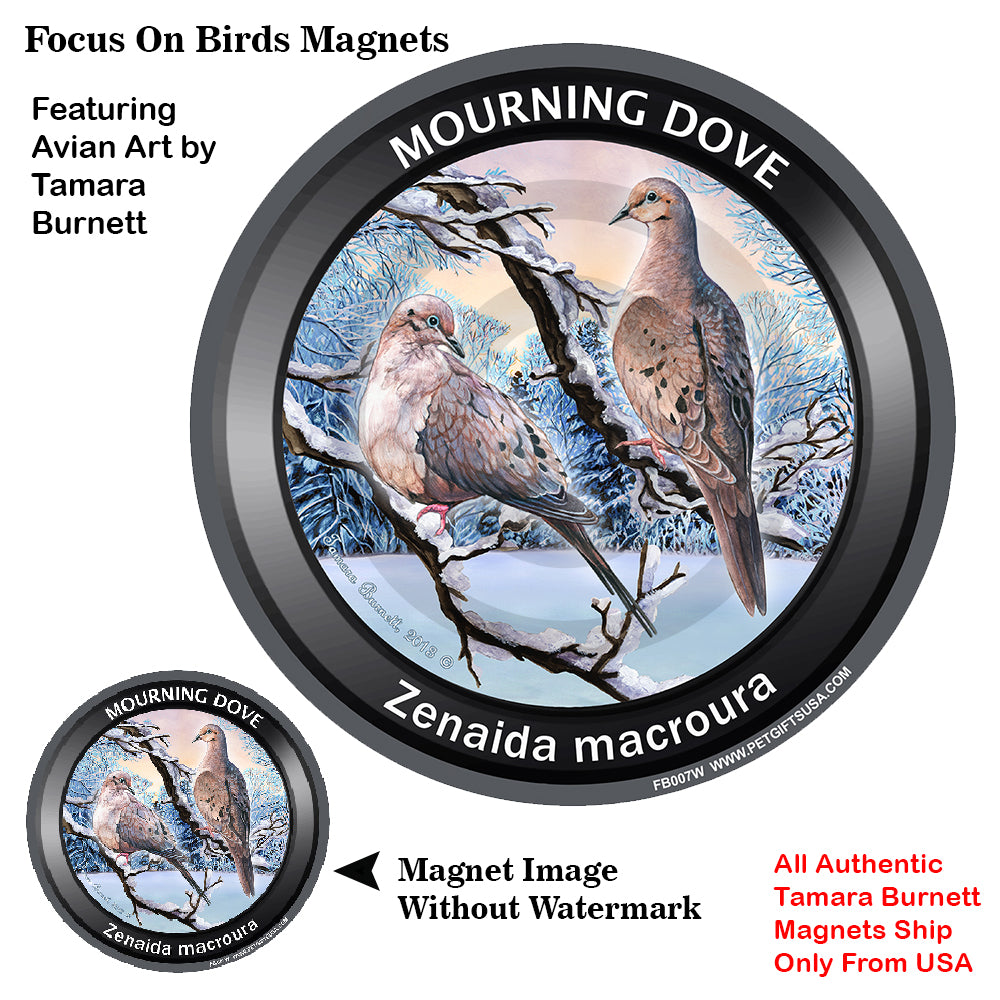 Mourning Doves Bird Watcher Magnets