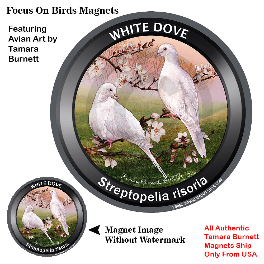 White Doves Bird Watcher Magnets
