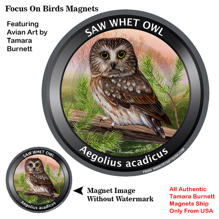 Saw-whet Owl Bird Watcher Magnets