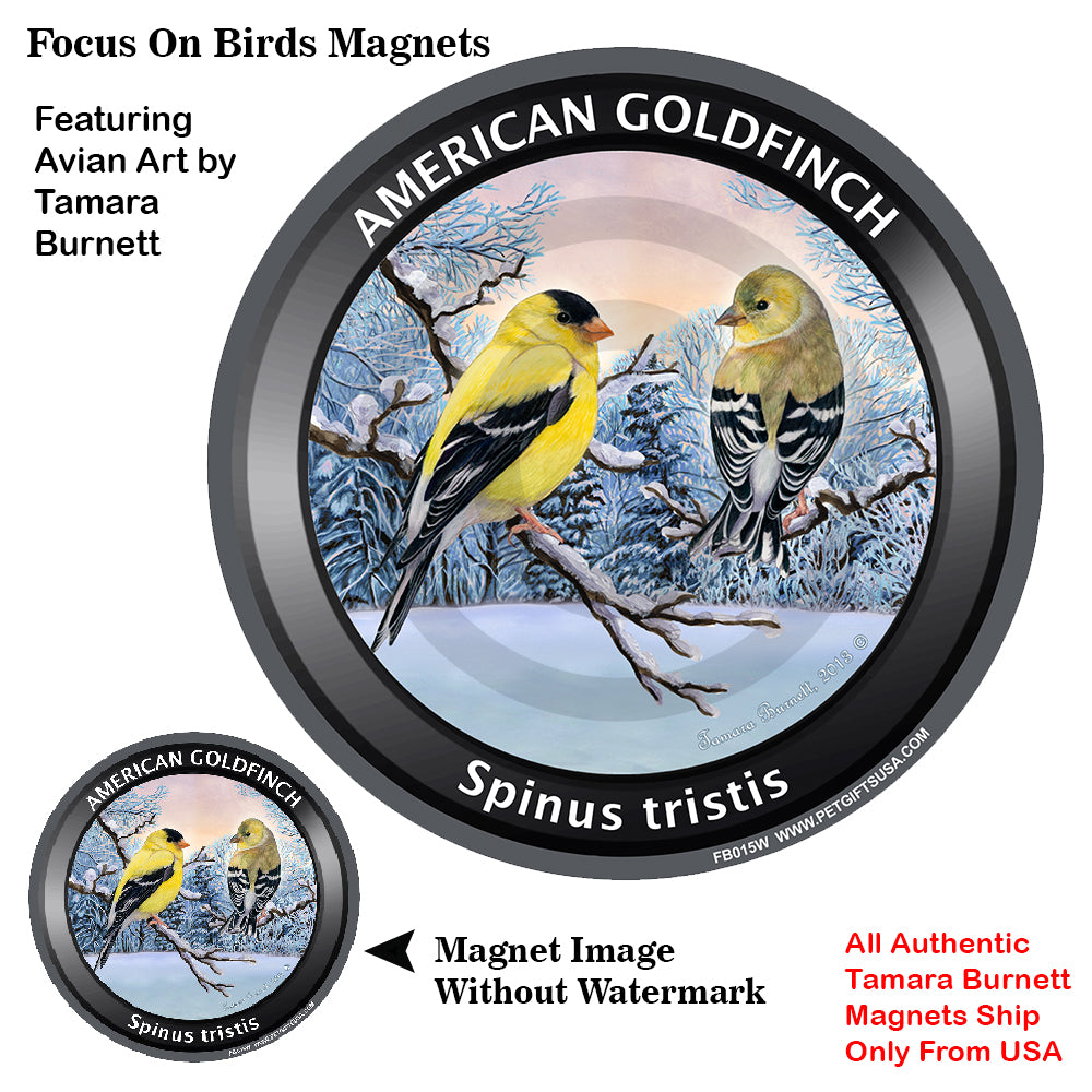 American Goldfinch Bird Watcher Magnets