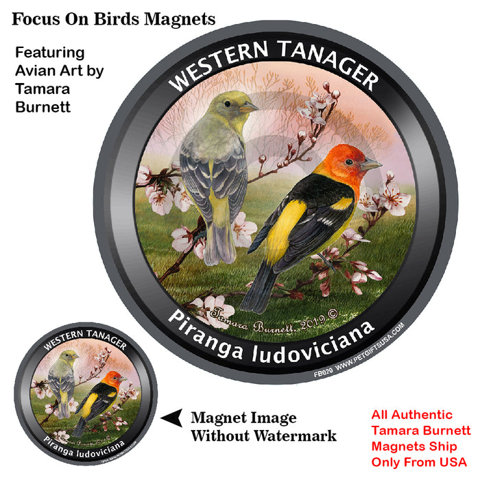 Western Tanager Bird Watcher Magnets