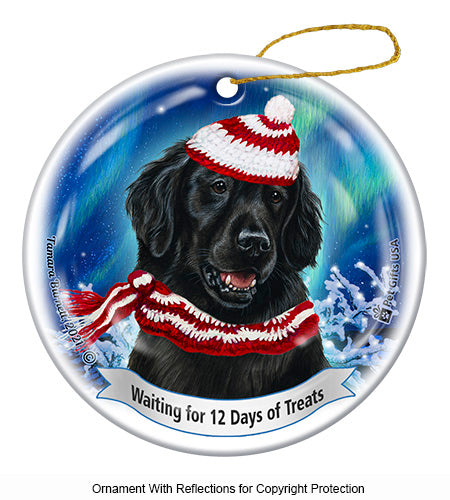 Flat Coated Retriever 12 Days of Treats Ornament