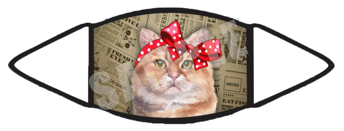 Tabby Cat (Orange) (Brown) Face Mask