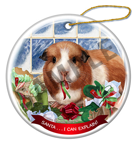 Guinea Pig American - Santa I Can Explain Ornament