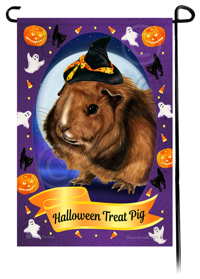Abyssinian Guinea Pig Halloween Howls Garden Flags