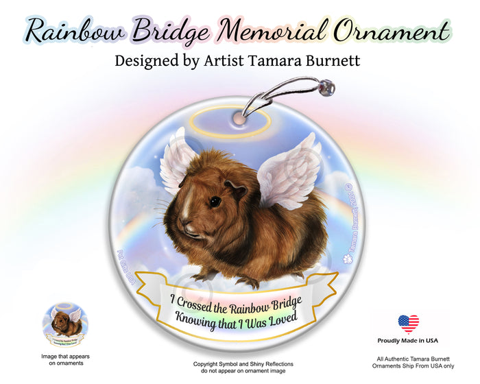 Guinea Pig Abyssinian Rainbow Bridge Memorial Ornament