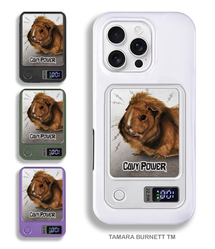 Guinea Pig Abyssinian Phone Bank Wireless Charger
