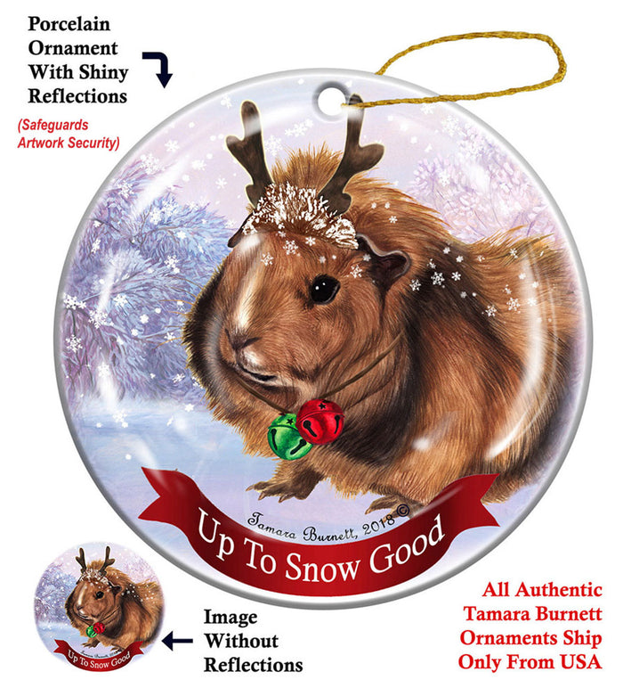 Guinea Pig Abyssinian - Up To Snow Good Ornament