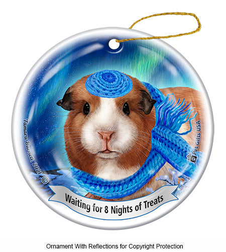 Guinea Pig American Hanukkah Ornament