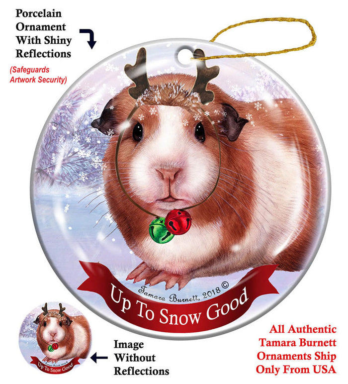 Guinea Pig American - Up To Snow Good Ornament