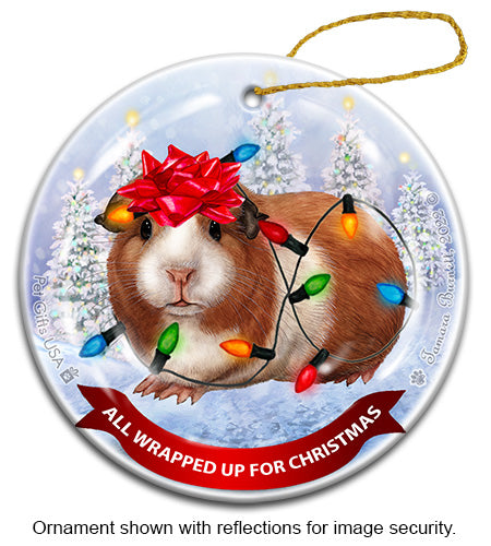 Guinea Pig American All Wrapped Up Ornament