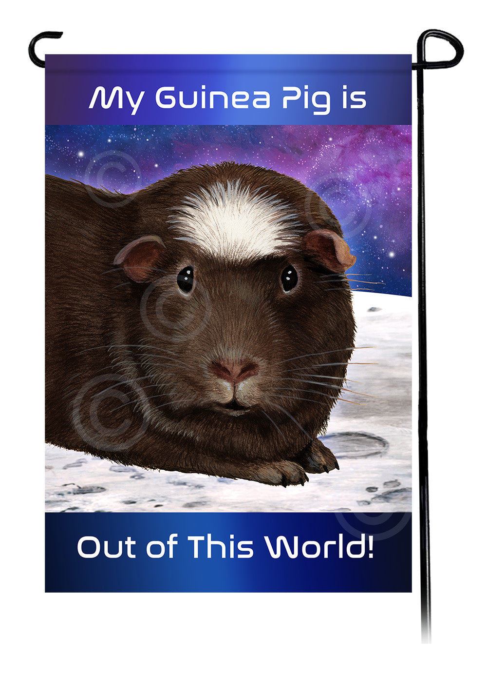 Black Crested Guinea Pig Out Of This World - Garden Flag