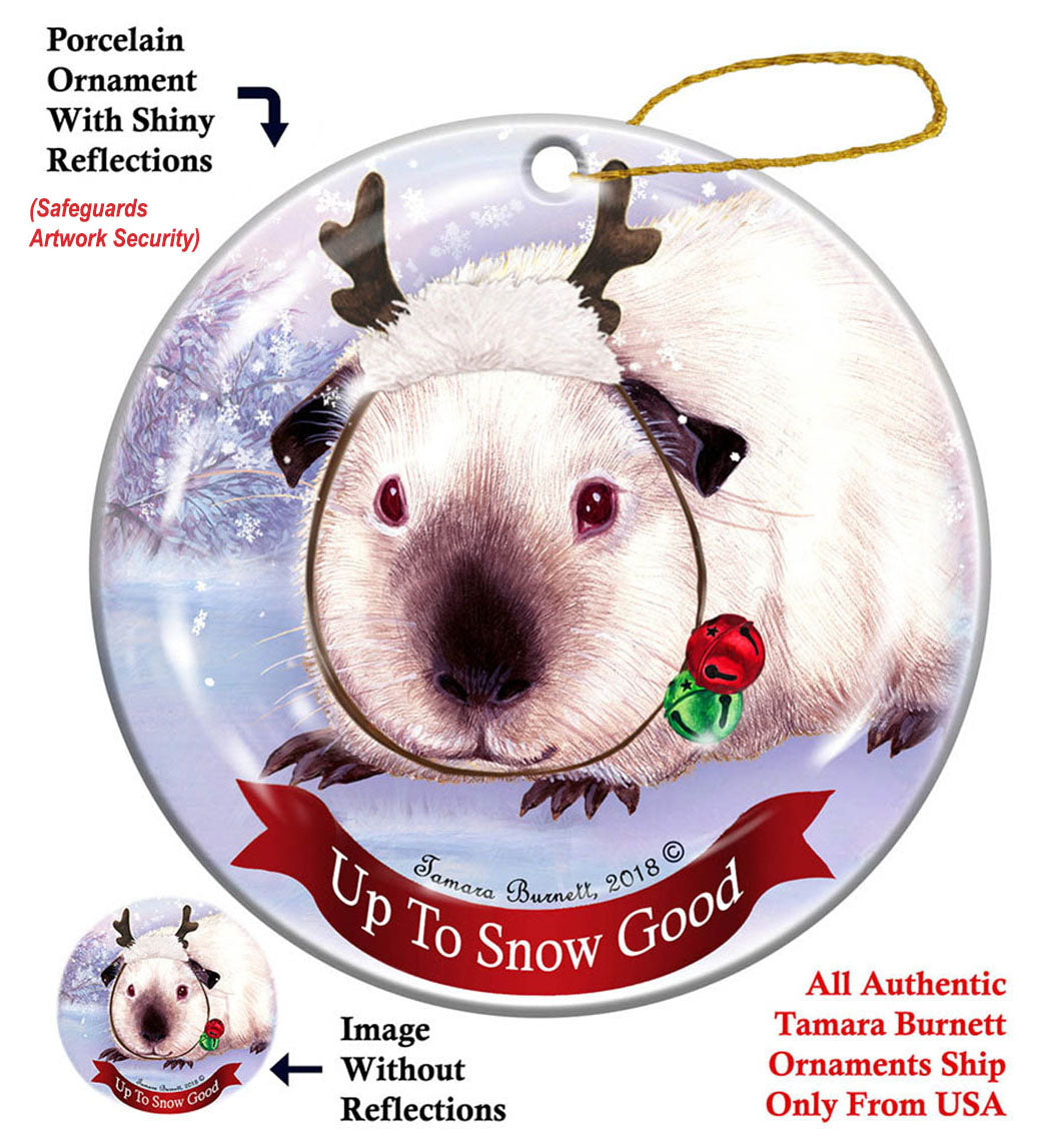 Guinea Pig Himalayan Cat - Up To Snow Good Ornament