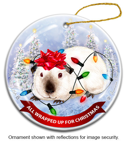 Guinea Pig Himalayan Cat All Wrapped Up Ornament