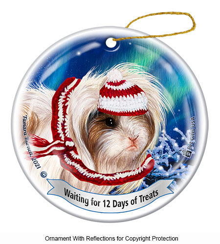 Guinea Pig Peruvian 12 Days of Treats Ornament