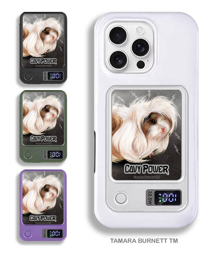 Guinea Pig Peruvian Phone Bank Wireless Charger