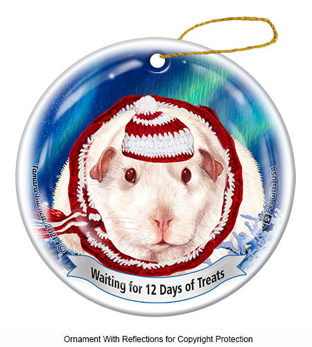 Guinea Pig Pink Eyed White 12 Days of Treats Ornament