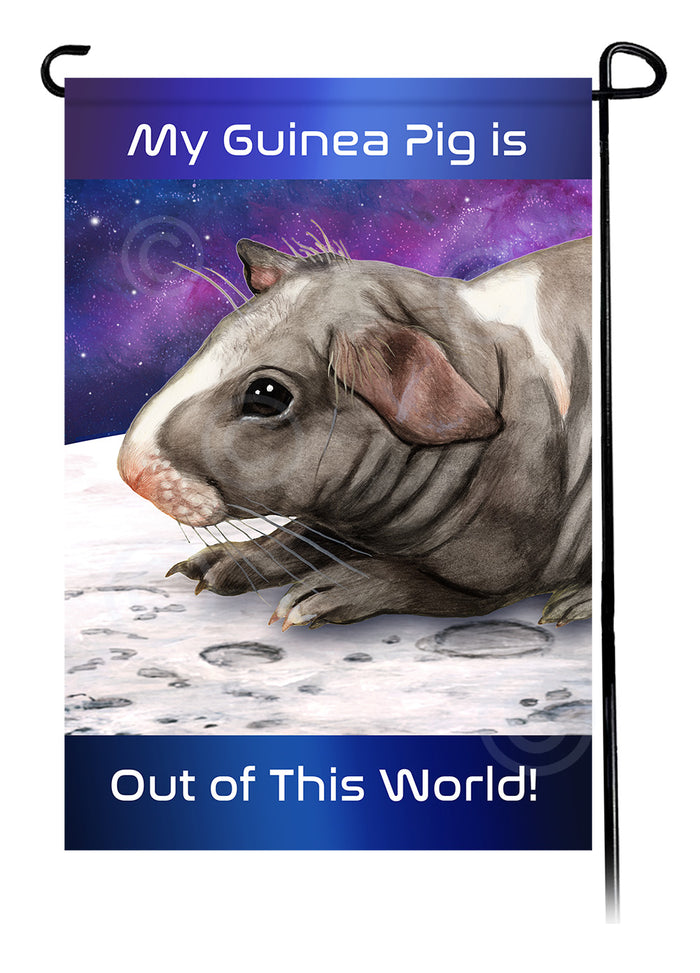 Skinny Hairless Guinea Pig Out Of This World Garden Flags